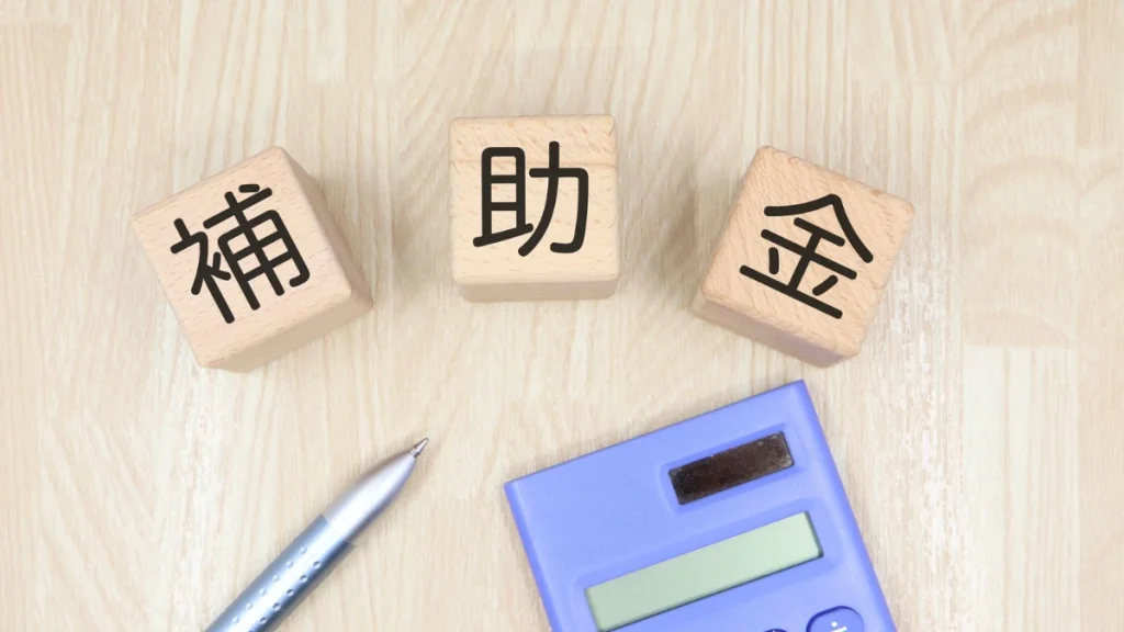 見守りカメラ導入補助金イメージ